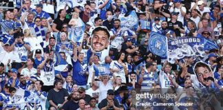 2025 NRL: Round 7 Recap